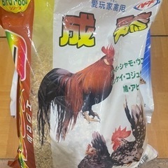 うずらフードの画像