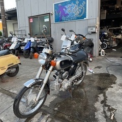 YB1   4st