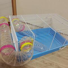 小動物ケージセット☆の画像