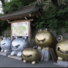 7/17(月•祝) 12時〜小郡にてカエル寺散策＆カフェ☕️