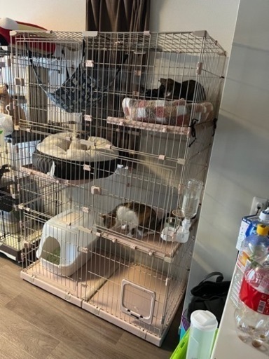 3段 猫ゲージ  キャスター付き