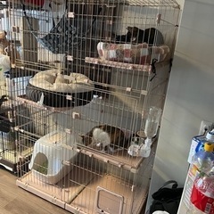 3段 猫ゲージ  キャスター付き