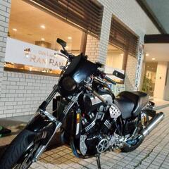 ツーリング行かないですか?