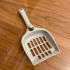 猫　トイレの画像