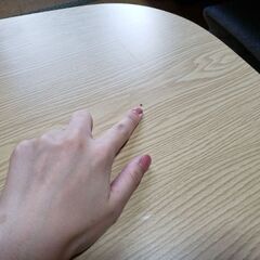 ニトリ　折りたたみテーブルの画像