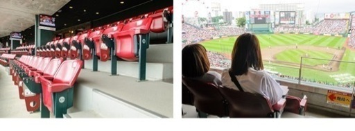 楽天イーグルス観戦チケット　8/19 4階VIP席良席ペア　値下！