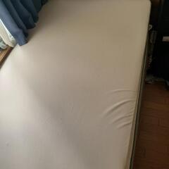 トゥルースリーパーシングルライト　3.5