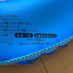 【中古】アナ雪浮き輪　3歳以上55センチの画像