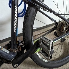 Cannondale Trail SL 29er 4の画像