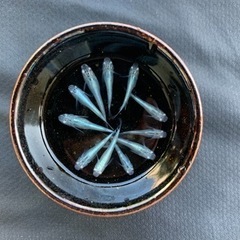 みゆきメダカ　☆スーパー光☆ 1匹100円の画像