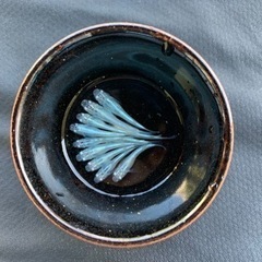 みゆきメダカ　☆スーパー光☆ 1匹100円の画像