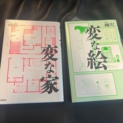 変な家　変な絵　二冊セット