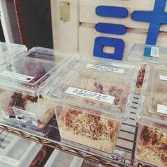 7/17(月)＊クワガタ＊カブトムシ300円〜＊ロードプラザ倉敷＊直売中の画像