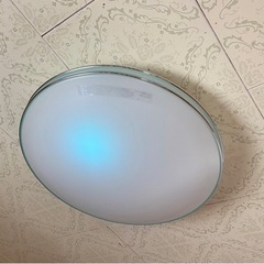 NECのシーリングライトの画像