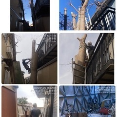 空き家 空き地の管理致します。所沢市 清瀬市狭山市新座市〜 - 所沢市