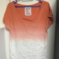 No.487  DISCOAT レディースTシャツ　メンズも可