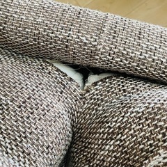 【購入決定】2人掛けソファの画像