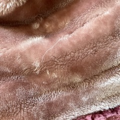 毛布　厚手毛布　ブランケットの画像