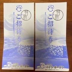 【受け渡し調整中】天然温泉 ロテンガーデン 招待券2枚セット