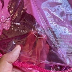 浮き輪 の画像