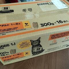 キャットフード　サイエンスダイエット 4.8kg（300g✕16袋）