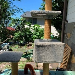 キャットタワー