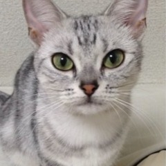 今日暇って方