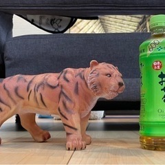 恐竜おもちゃ6体　＋トラ1体の画像