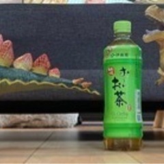 恐竜おもちゃ6体　＋トラ1体の画像