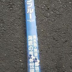 熱帯魚用の蛍光灯 青の画像