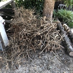 キャンプファイヤー用の薪を無料です。の画像