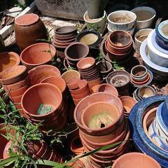 【全部無料 まだまだあります！】植木鉢  陶器 ←早い者勝ち