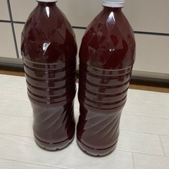 濃厚　メダカ　PSB 光合成細菌