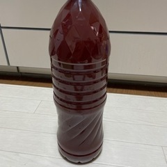濃厚　メダカ　PSB 光合成細菌の画像