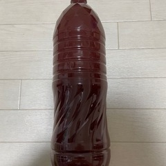 濃厚　メダカ　PSB 光合成細菌の画像