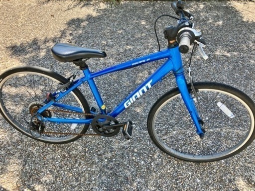 ジャイアントエスケープＪＲ　24インチ【名古屋市名東区引き取り限定】