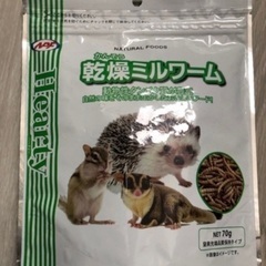 ミルワーム
