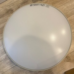 オーデリック　251671の画像