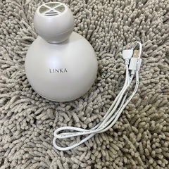 リンカのキャビン
