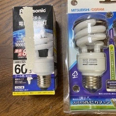 電球形蛍光ランプ