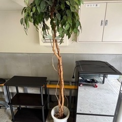 197cm大型観葉植物フェイクグリーン造花❣️商談中