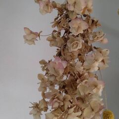 ドライフラワー、オレガノ、アナベル、百合紅《受け渡し予定者決定》