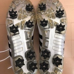adidasゴルフシューズの画像
