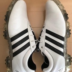 adidasゴルフシューズの画像