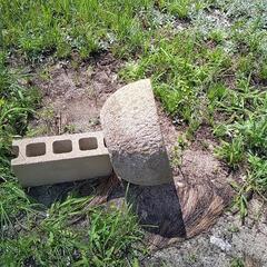 ❗臼型、天然石、苔つくばいの画像