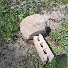 ❗臼型、天然石、苔つくばいの画像