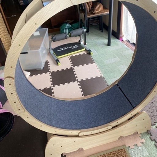 キャット、ルームランナー