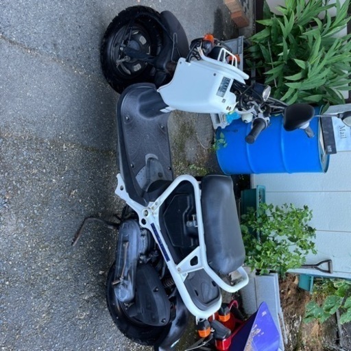 ホンダ　ズーマー