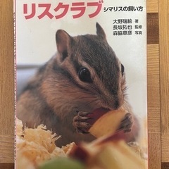 （近日処分）シマリスの飼い方