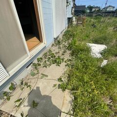 草刈りできる方募集@大網白里の画像